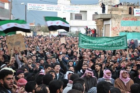 Решение ЛАГ о приостановке деятельности наблюдателей в Сирии - ảnh 2